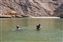 2011_11_04_2996.JPG